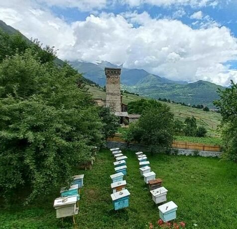 Bees Guesthouse