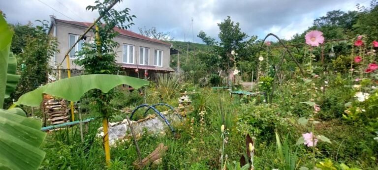 Kutaisi Guest House David