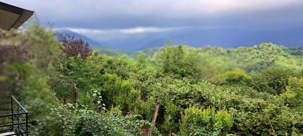 Villa Lematue jvari georgie